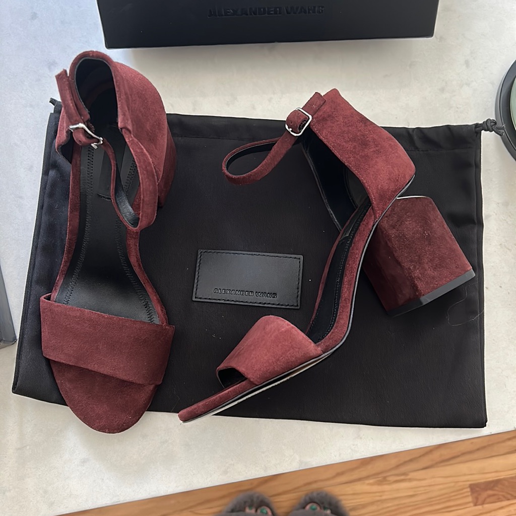 Brand New Alexander Wang Abby Sandal Suede